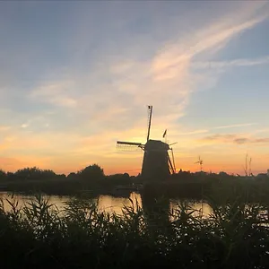 Aan De Rotte Rotterdam